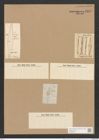 Pleurostauron acutum (W.Sm.) (de-Toni-Nr.: Genus 7, Species 968) Zeichnungen Sammlung Grunow Nr. 1835 (NHMW-BOT-W0368765)